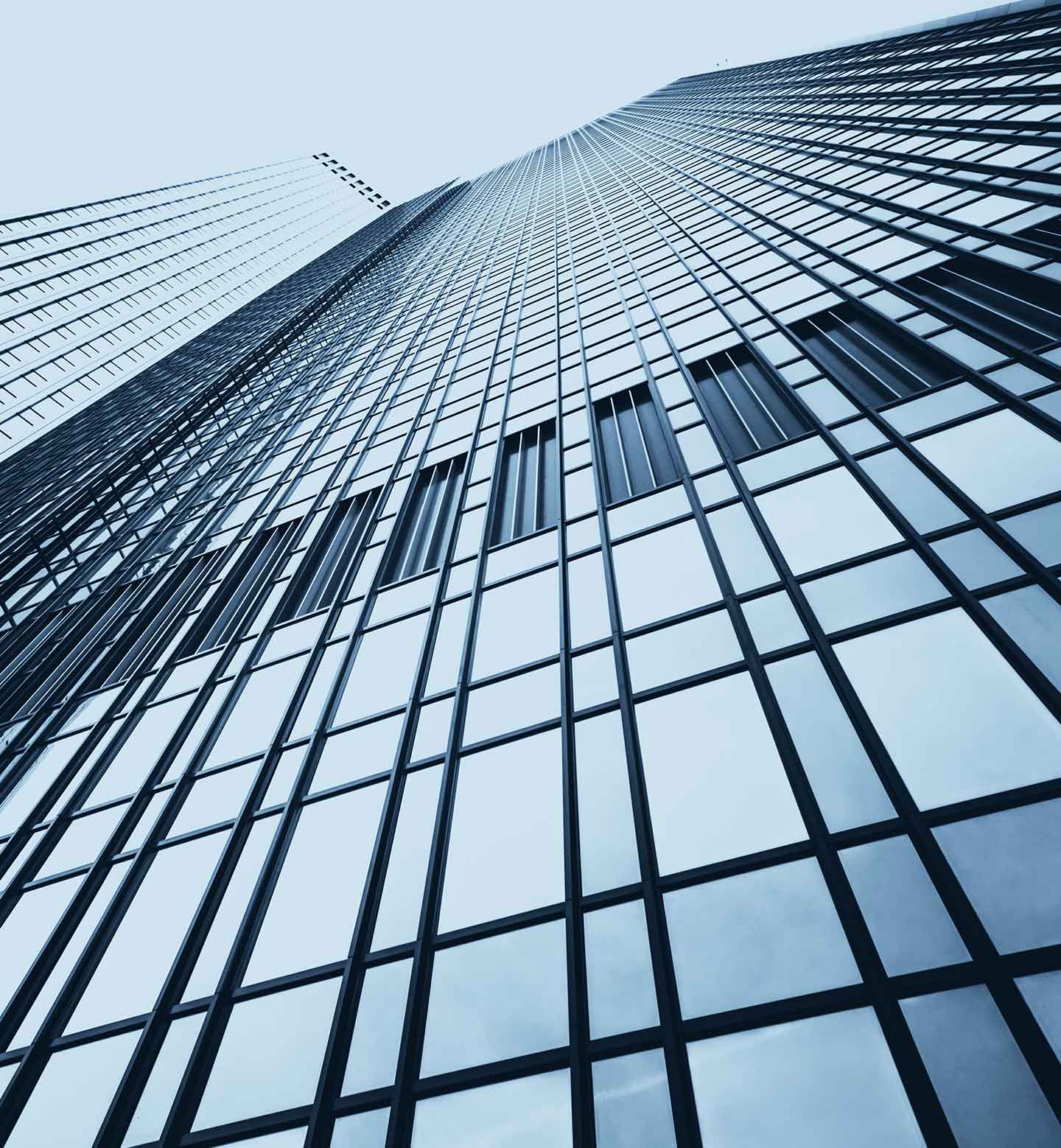 Experiencia Legal Advise